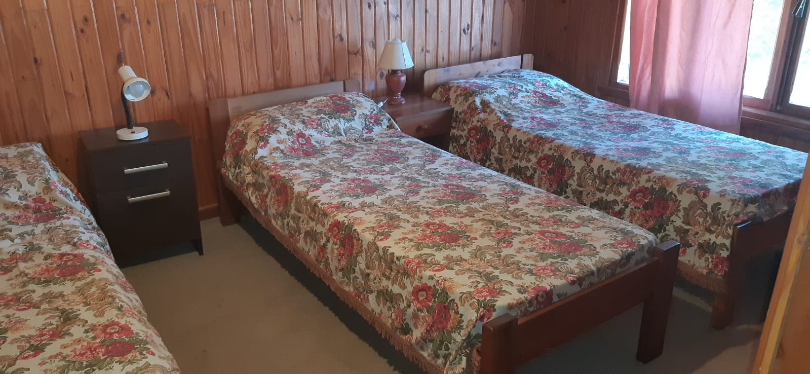 Propiedad en venta Villa la angostura3