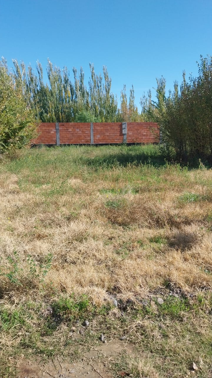 loteenventavillareginarionegro2