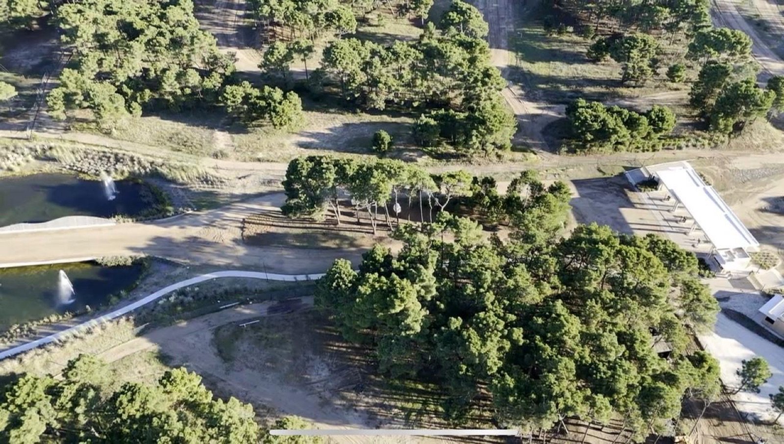 0313cb204f4464ccbfe0bfa2bd119e0d