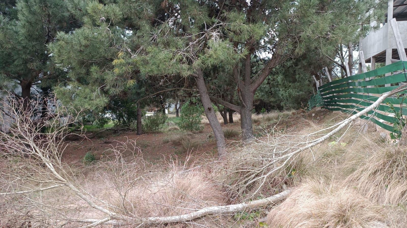 03e9dbb6fab5183e1133860ceebae139