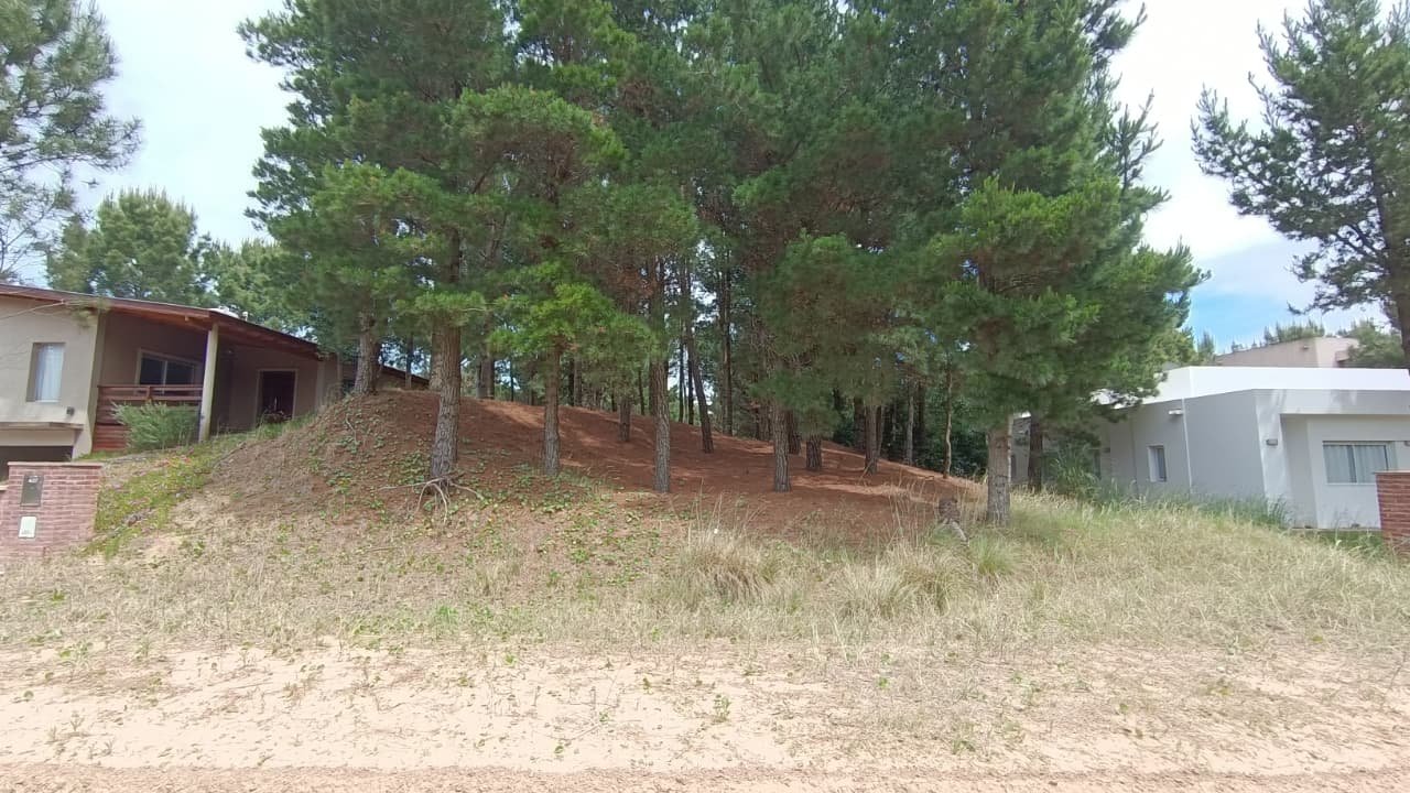 060b8f3d1bf135077008ba95e9161400