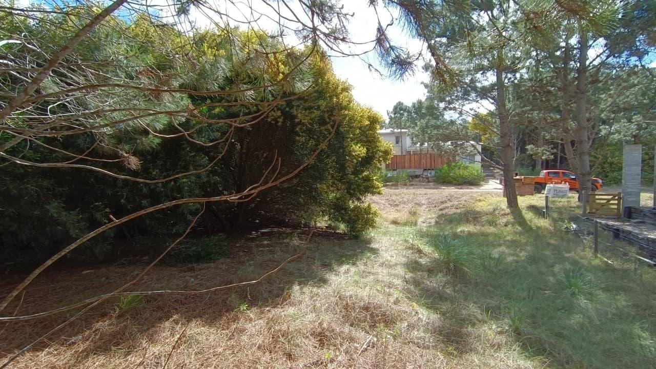 094569c875a4aea4c2a648dfee415556