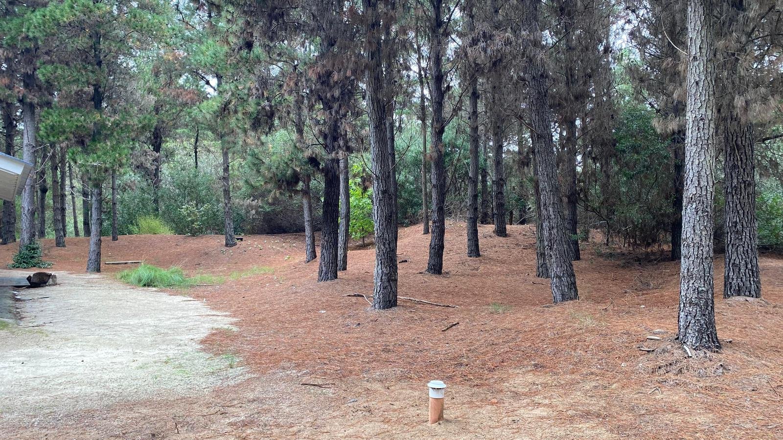 0b0eb449d9a9628f3a565ebac2418c4f