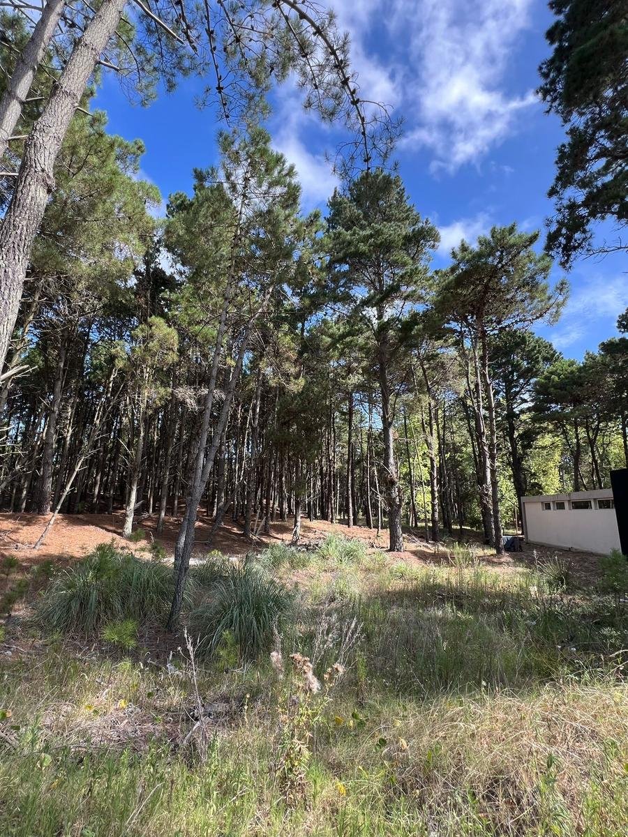 0cb52560d7d406e823d706c72d31e25a