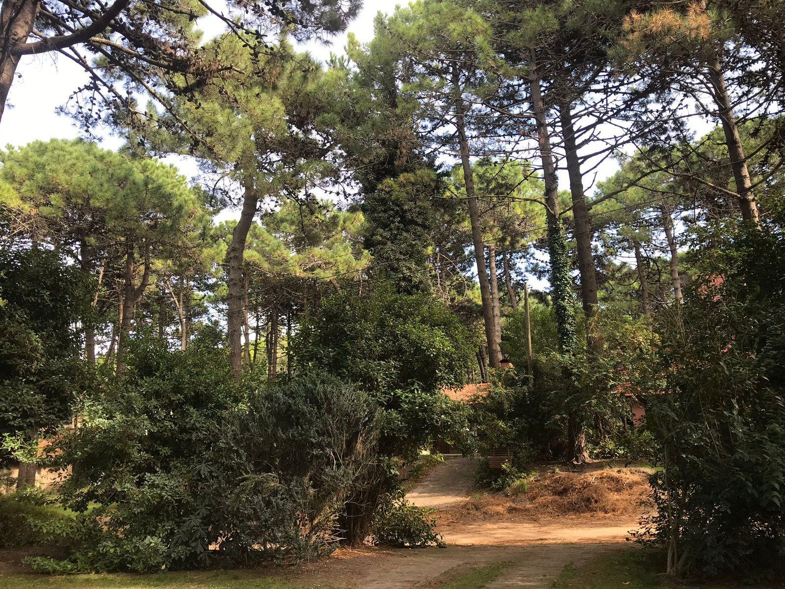 0e29e367bd528580835483dee00d2475