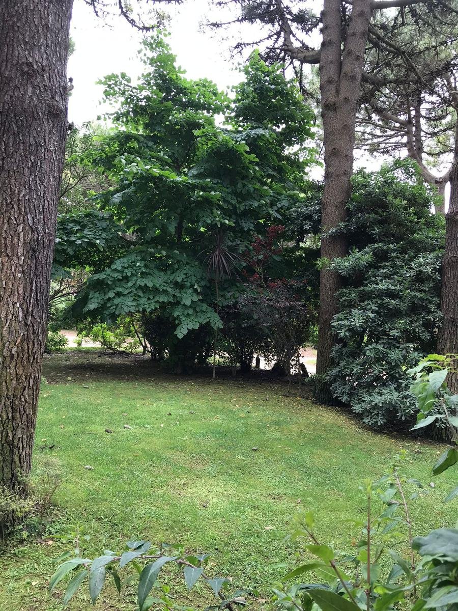 0e7ec36c4675e480f7e93aea74c90d91