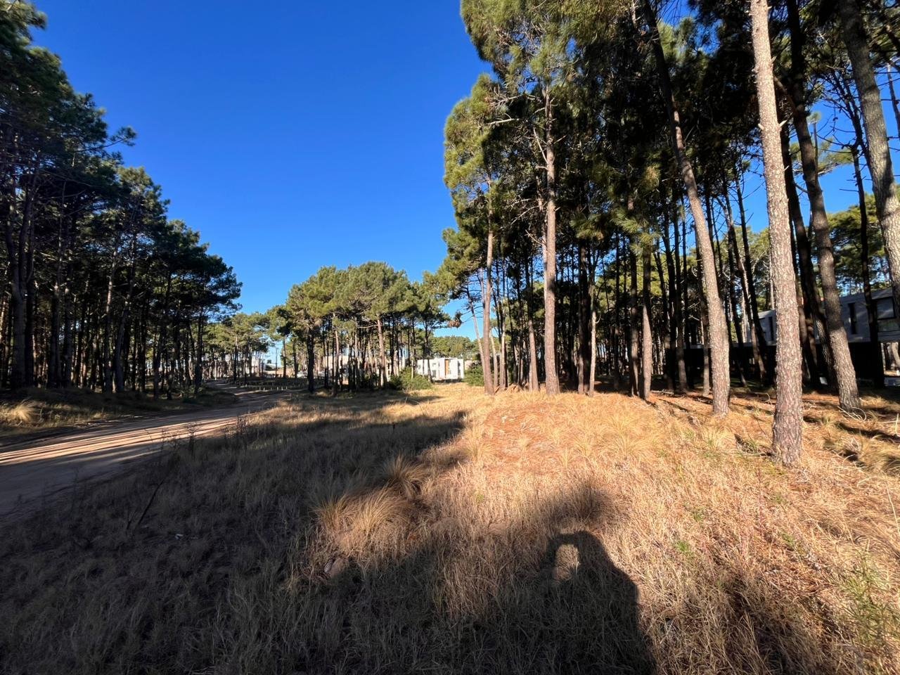 0f356a428526136d73ee929a09f7a9ca