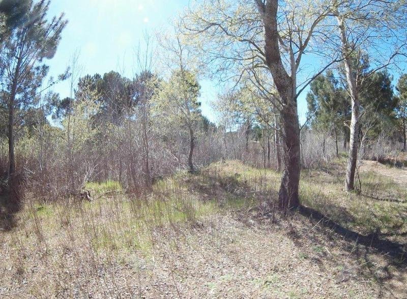 114fc64dbbe6df407246a161d0038b72