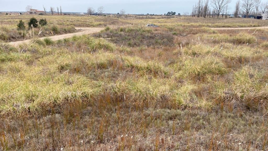 128011c3ceefe10fc53599f6caac2c5d