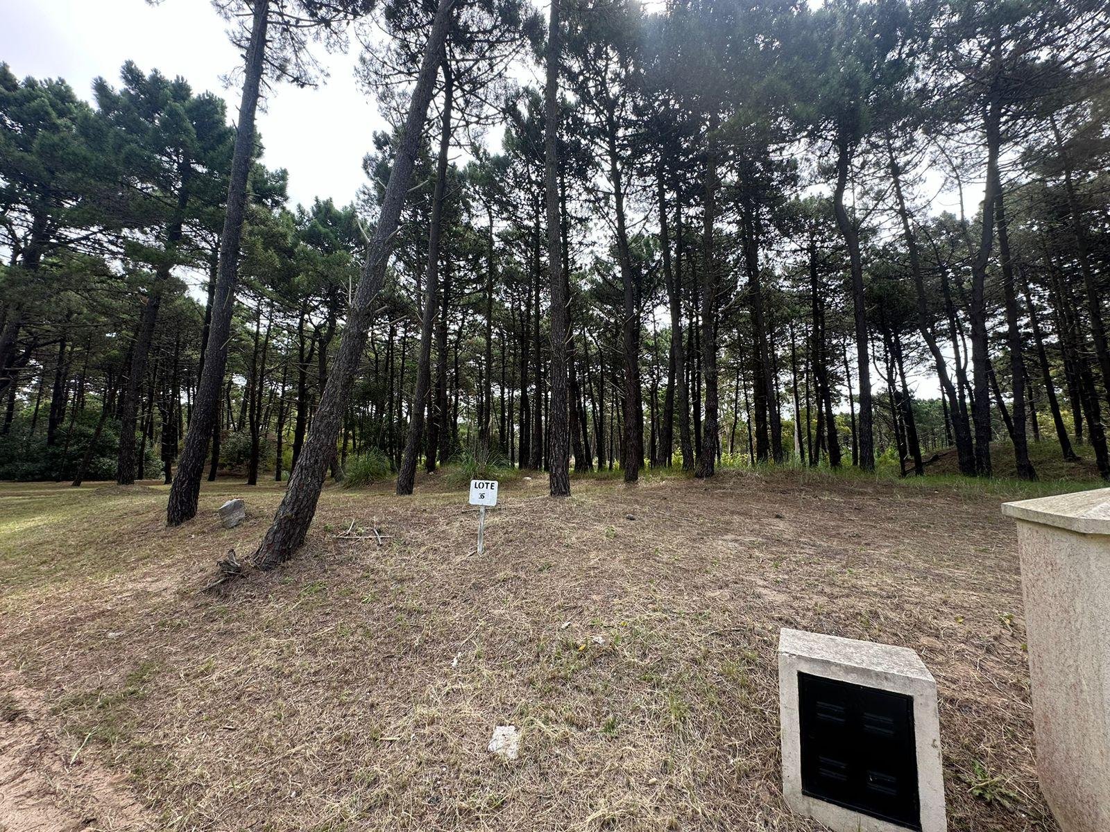 1391c3b339a916cb51f50e1cc2eaf1c0