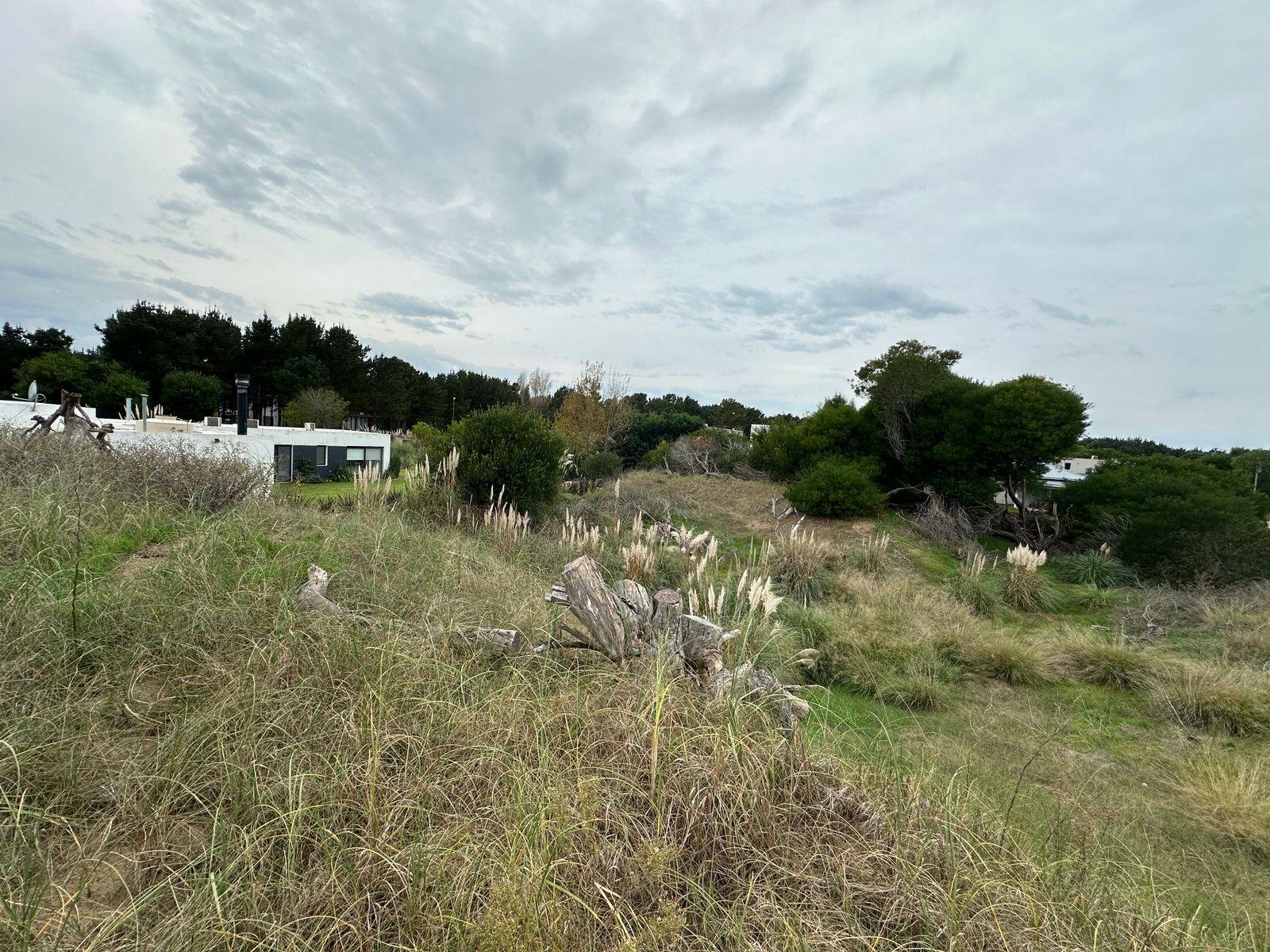 1a5edb991376f2b5d46d847a669e029f