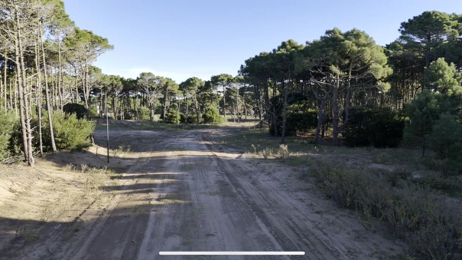 1ab808aad557c227d563097b0c1c80eb