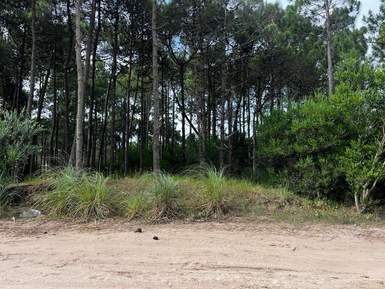 1b1f6bfeed40d330bd1aa13e8099202a