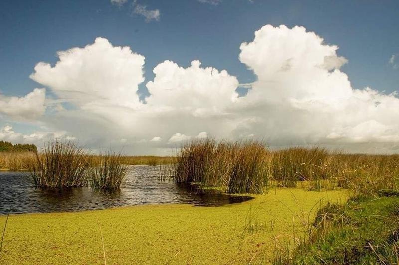 1ddb5298c2fcdca647ec58cd5eed6d16