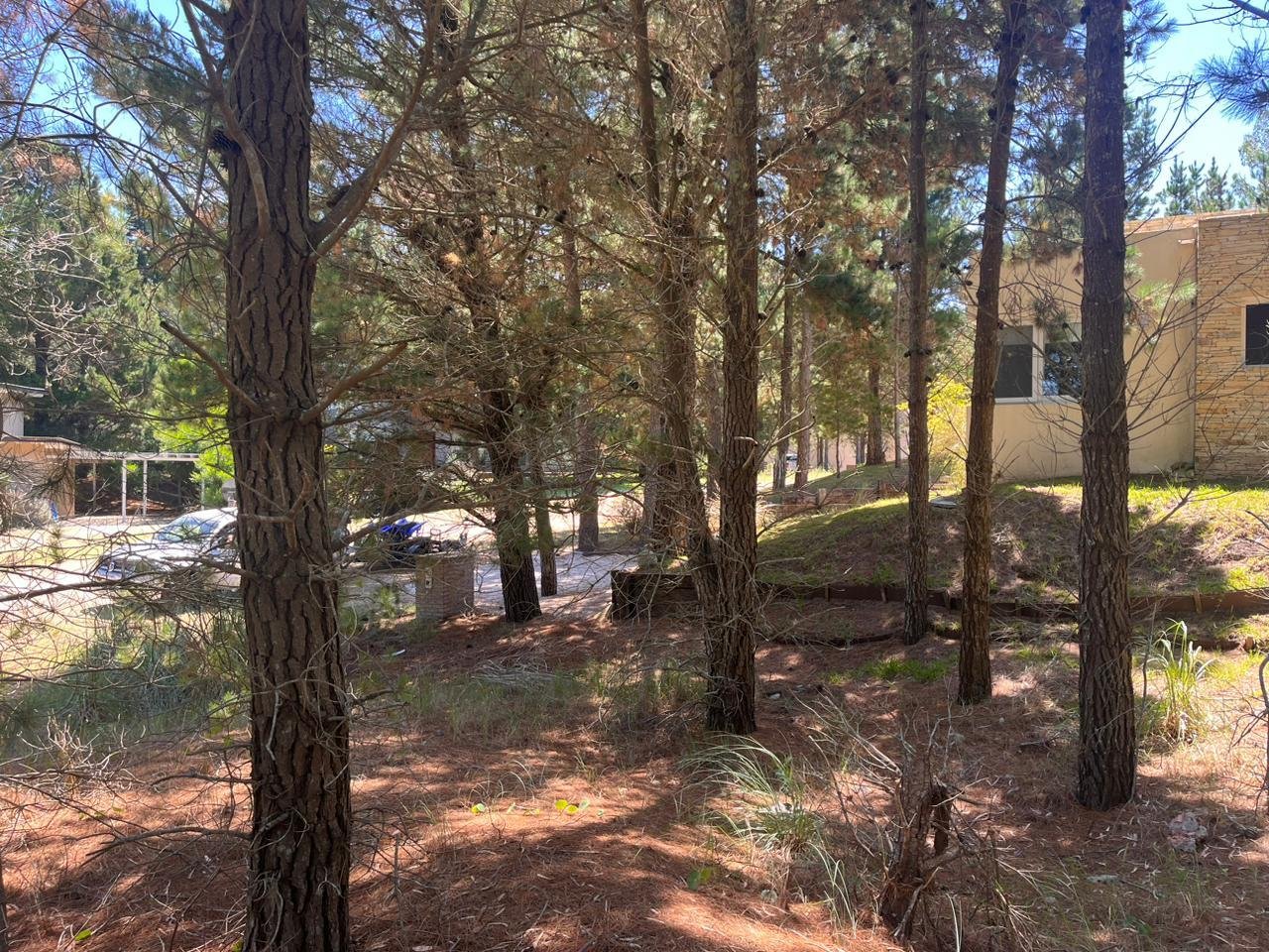 1e24d0aef62842954c37bcac9beda10e