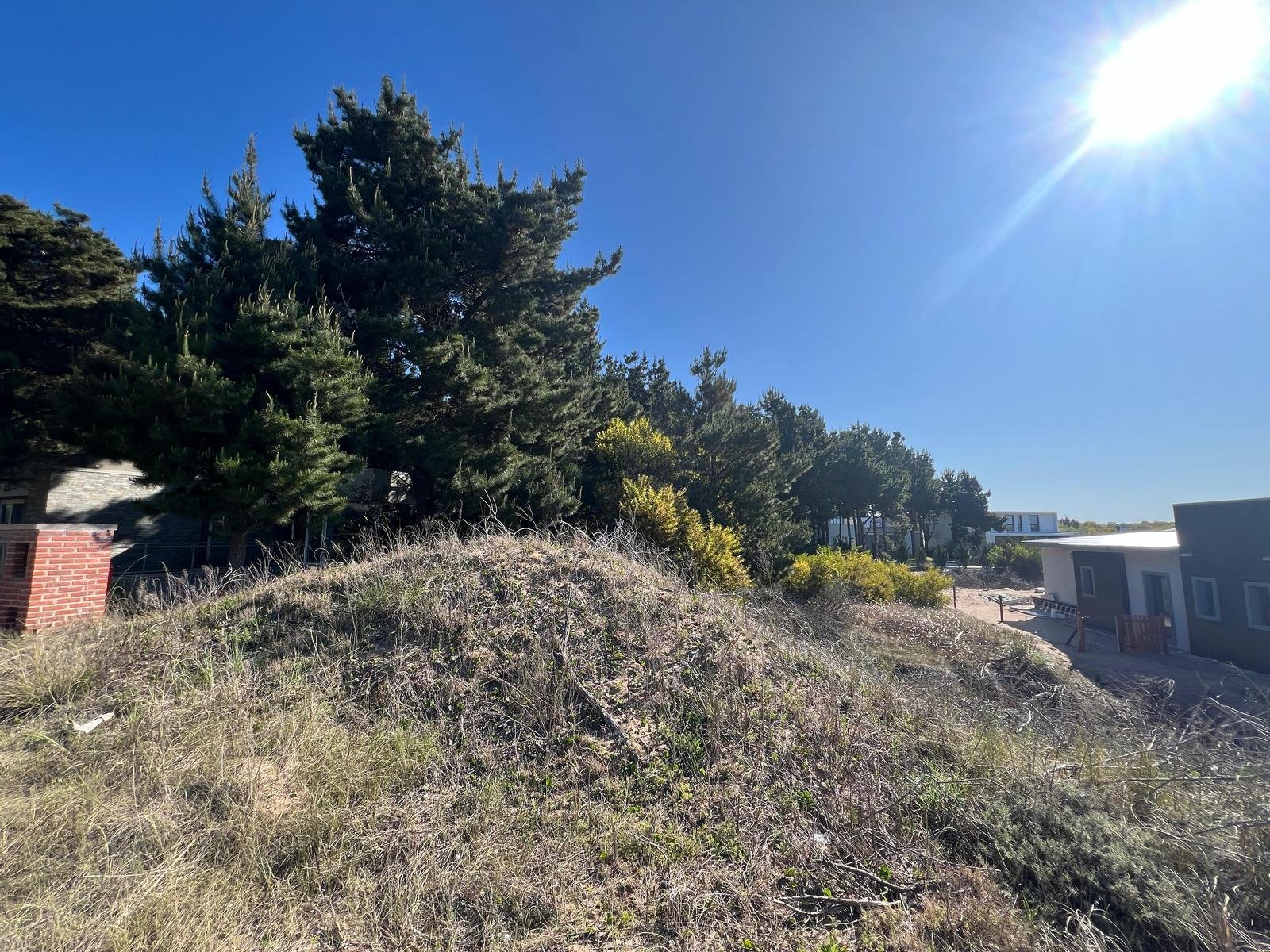 1f3b10d9e7b34ce465a697d056a56a94