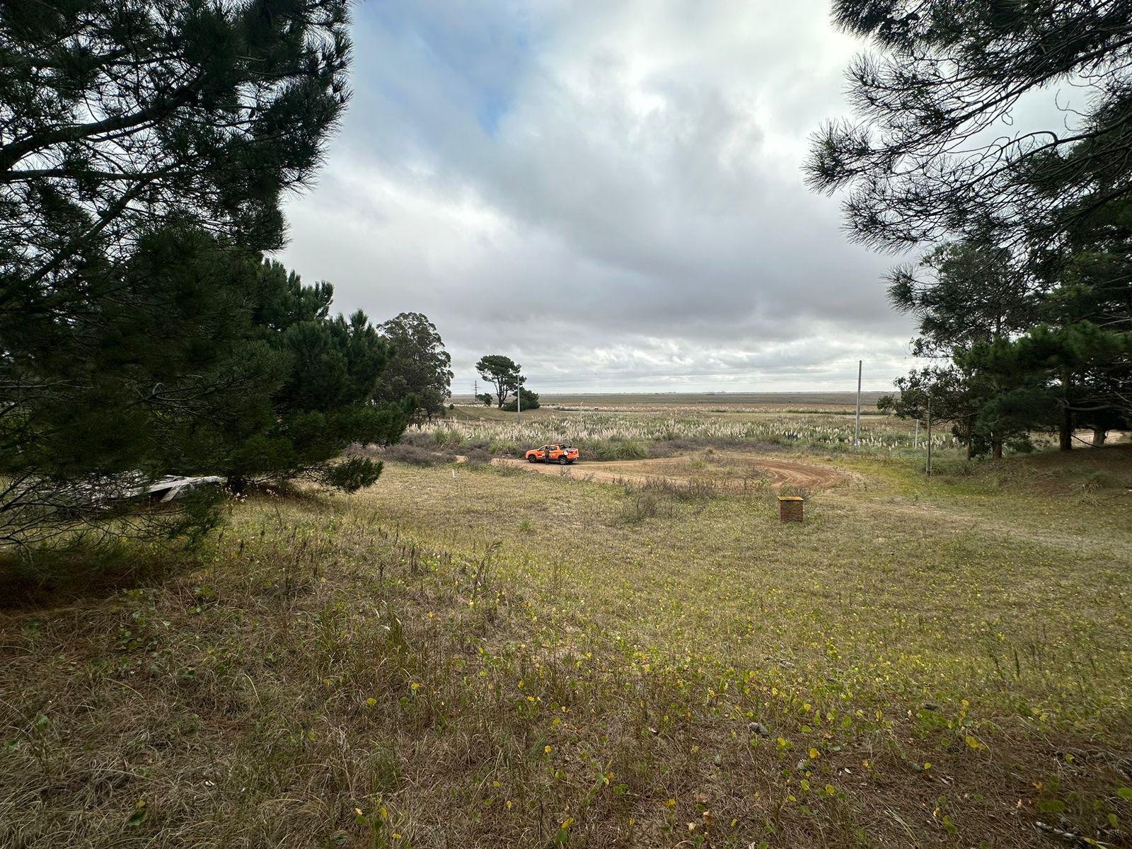 1fc8ce38ab01a20f0c02c43d88957f49