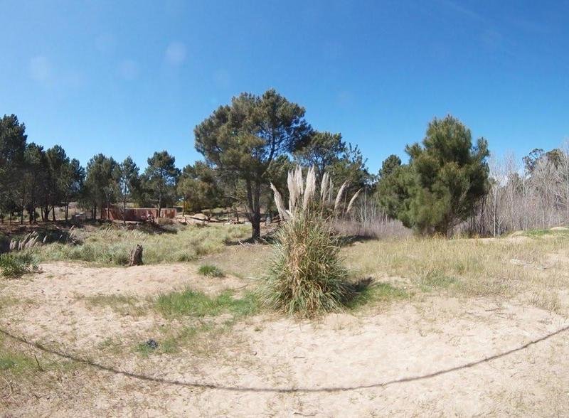 20fc825deee44f32fd3047e3403e3304