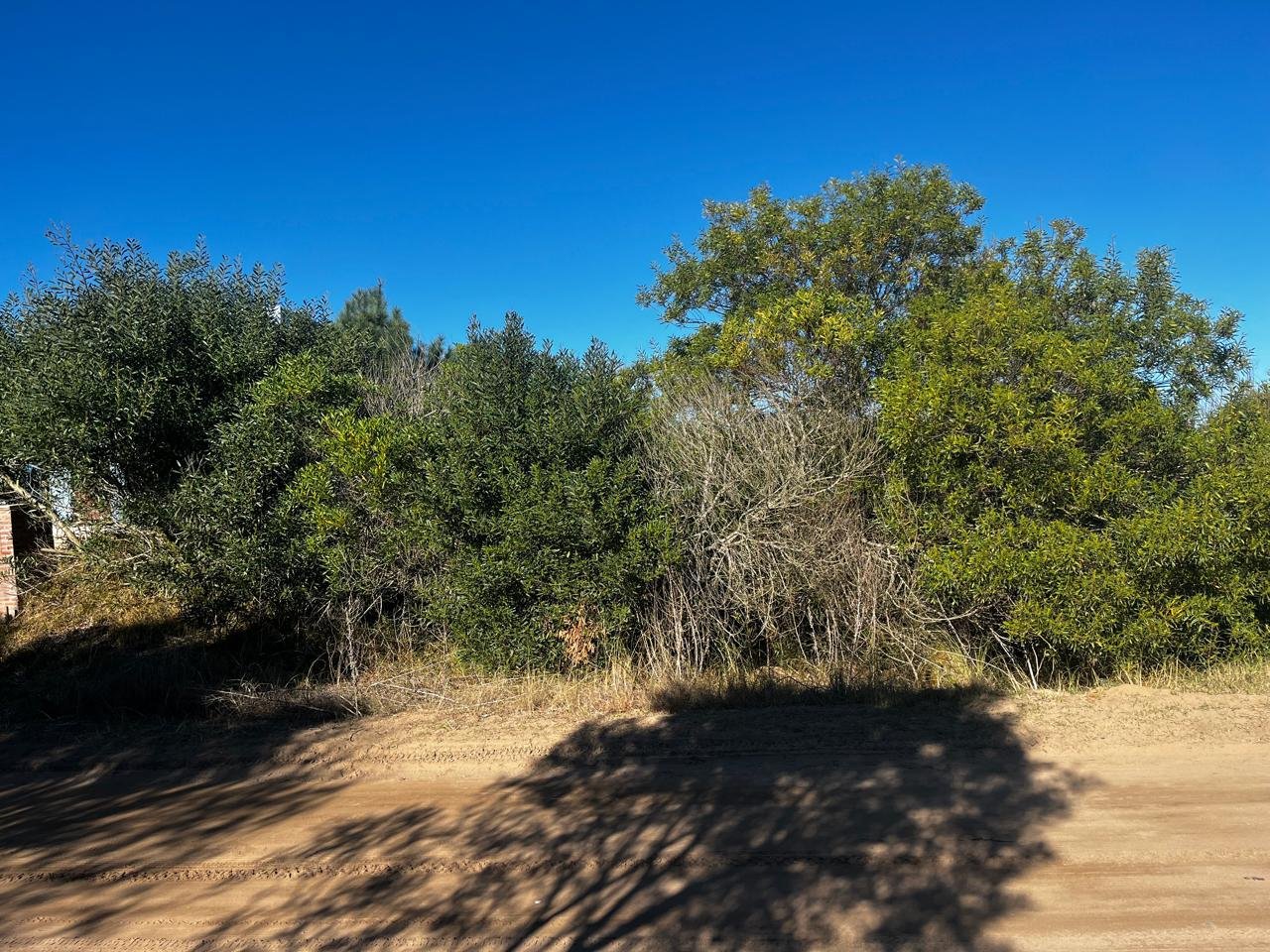 22abccccf0d32ea5feca7ae2eccfc947