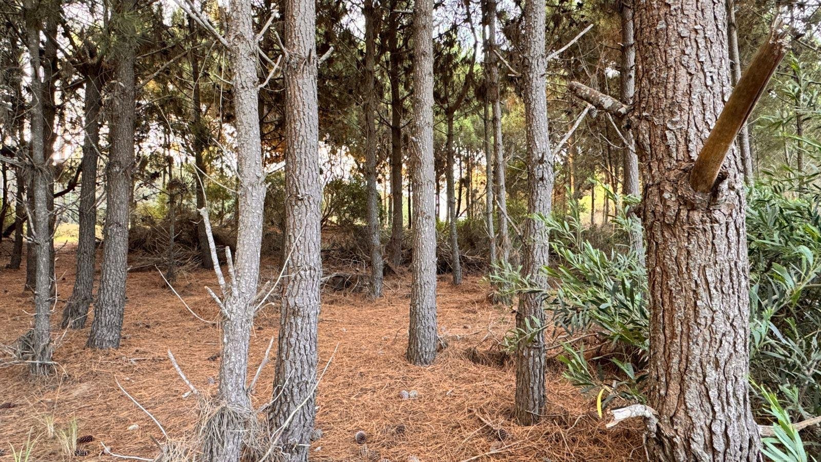 22ec1d12cfceac785947bc751c4fead5