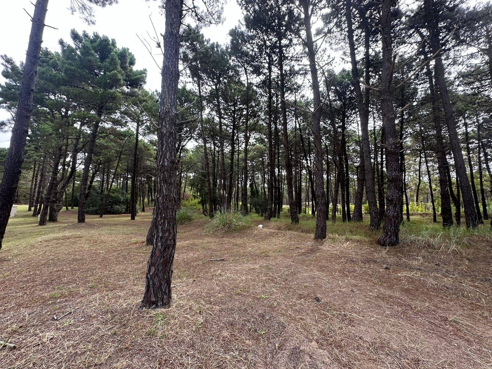 241014ad2a90a1f0512f5692b483c454