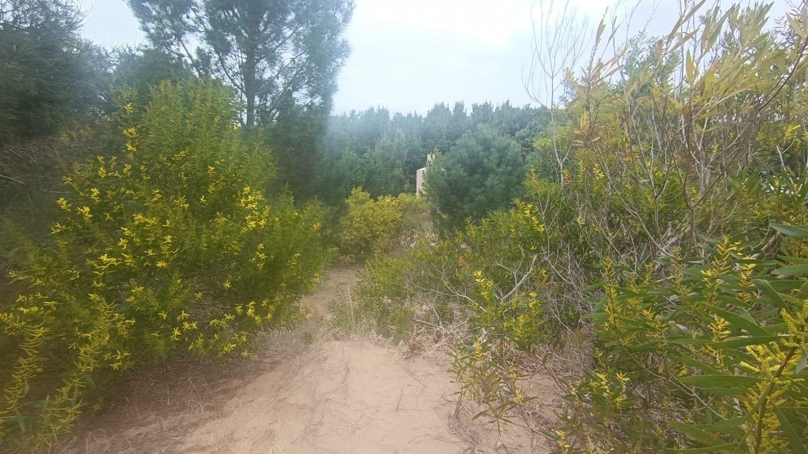 24d5b364ad17dfa843dcf393f3b1d9d2