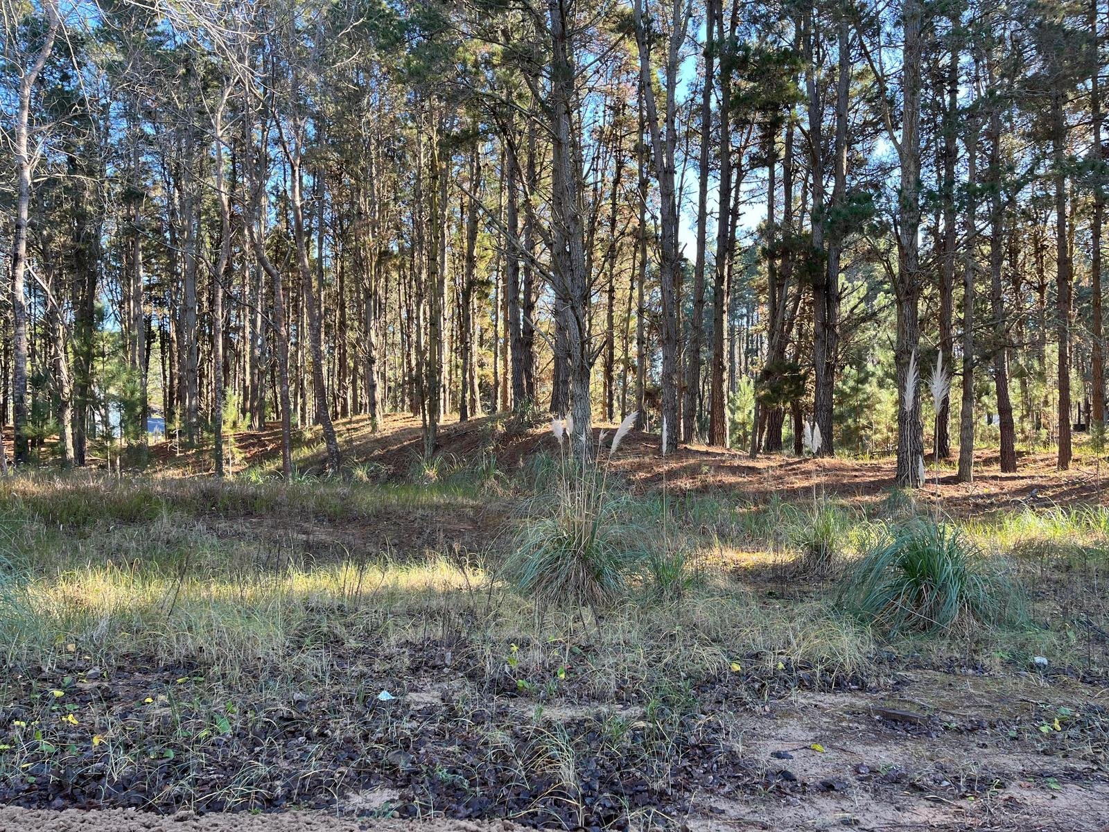 2773a1a515abb64b96e69df08b96e84b