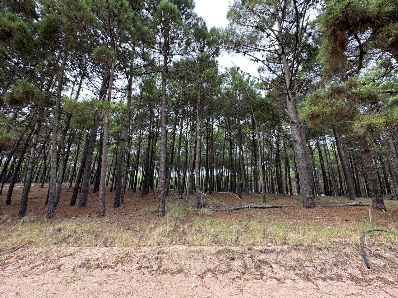 278b2e5764128f053f0b82948c30cd7e