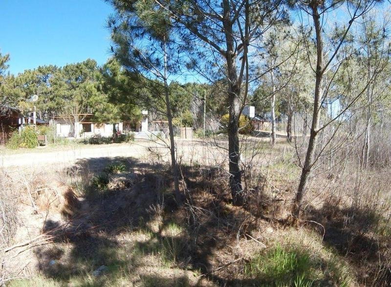 28ab988b572b4732808ad6e1415e77d1