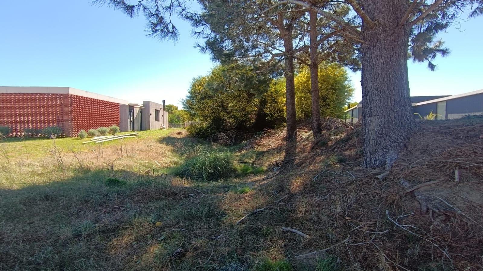 2997cbe8c9934e9960b060faccb48c46