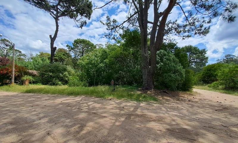 2c25d8ba24576543c7e7543de6ebb5d4