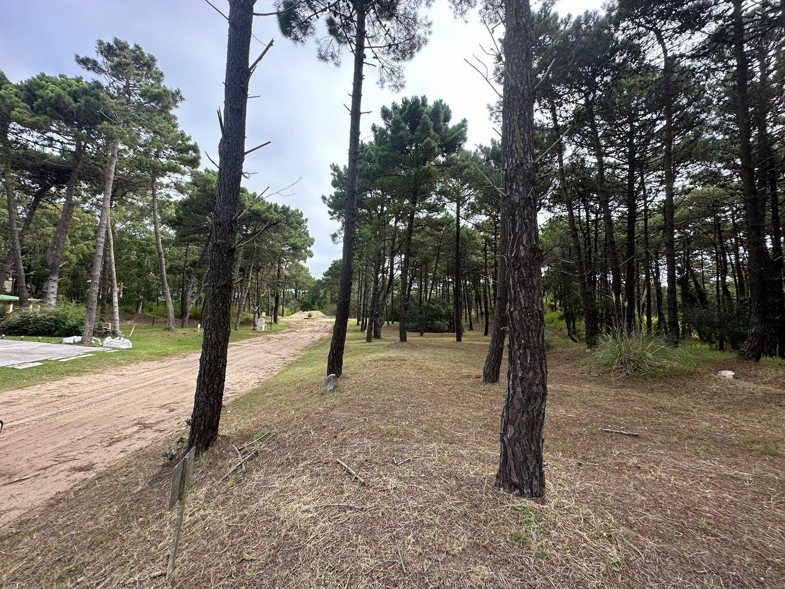 2f7363d257f3073299c4f8100629b18b