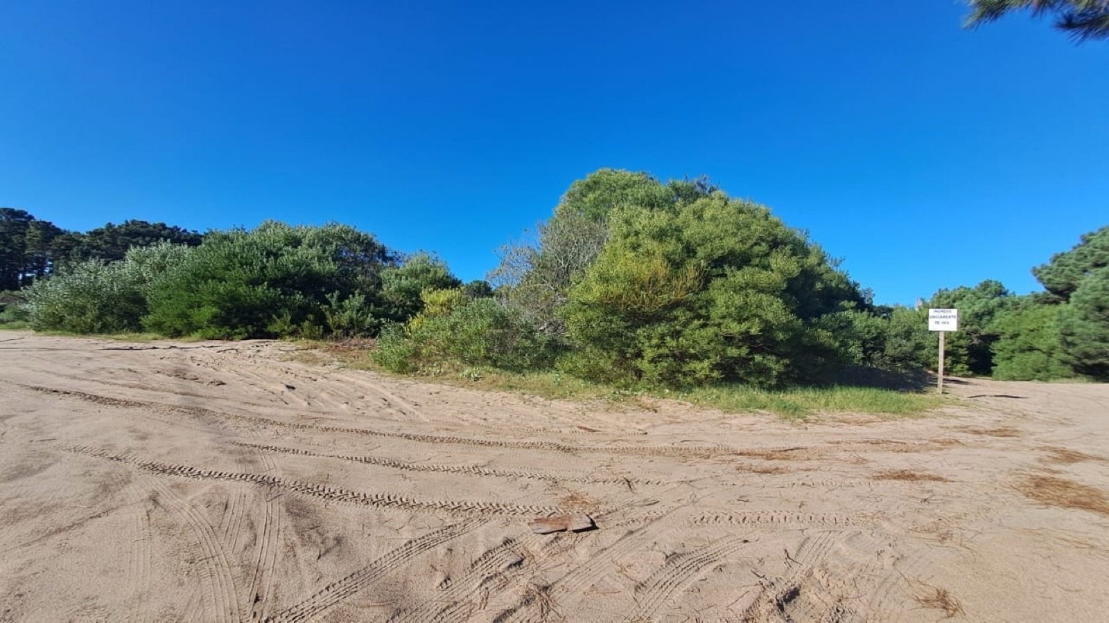 325da841ccaa7b637d638fb9bc1b067e