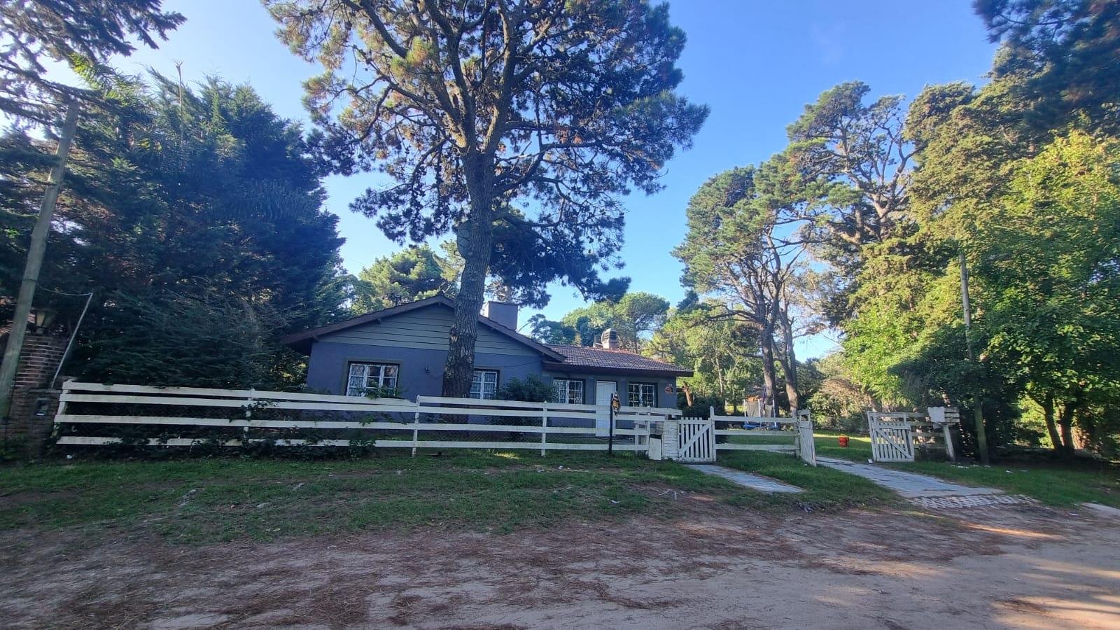 32f0f8e9805afd6a4cf5a5187dfb8738