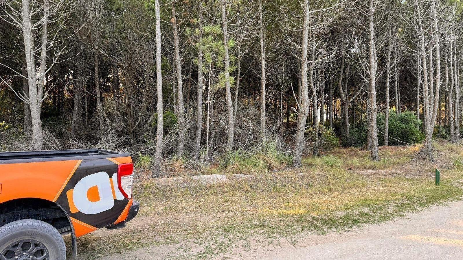 33449098345caa021d200f6770de0888