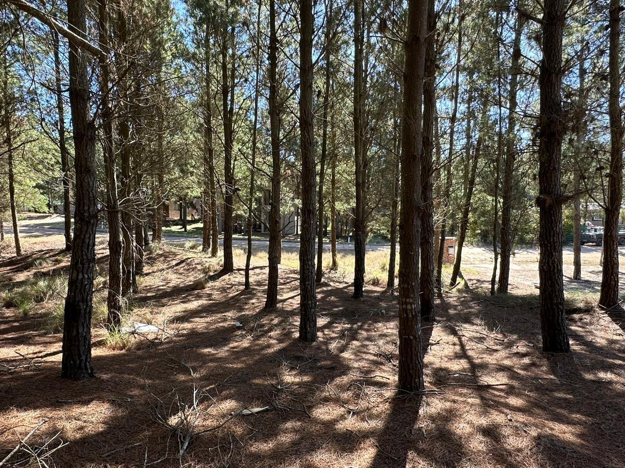 34cb12ee49267df1b698125d08ef254f