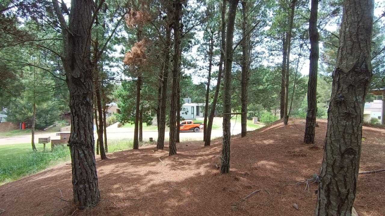 355414544f5349a49fc56f583e4e82cb