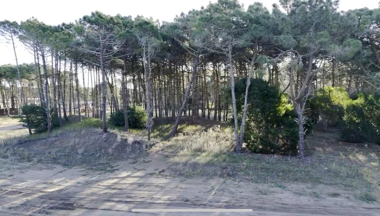 360d1055943b3b15a83ecdde428281e2