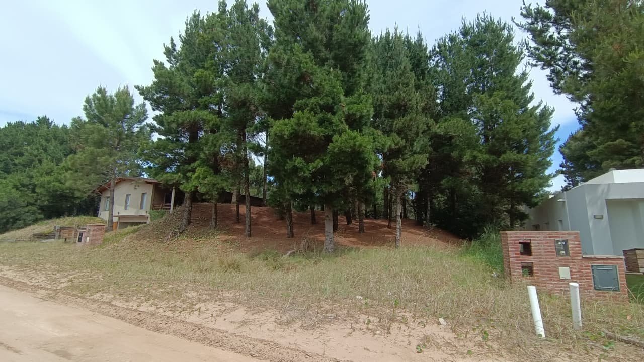 3784b4bb25dbd41ced249d11d02364c9