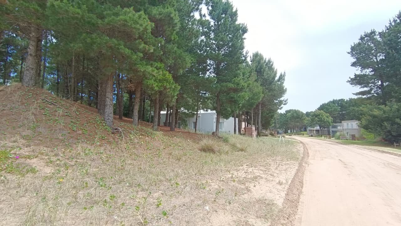 37a5b5dba379128b7b34f32fb0010951