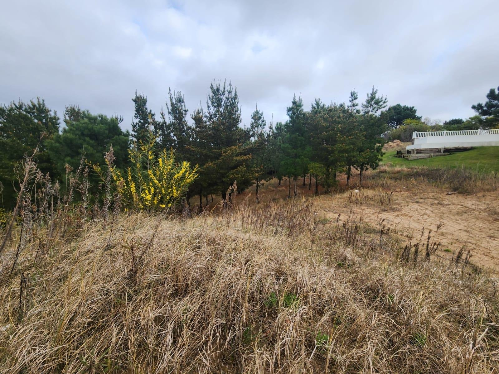 3809122acb786de2df38381c99842344