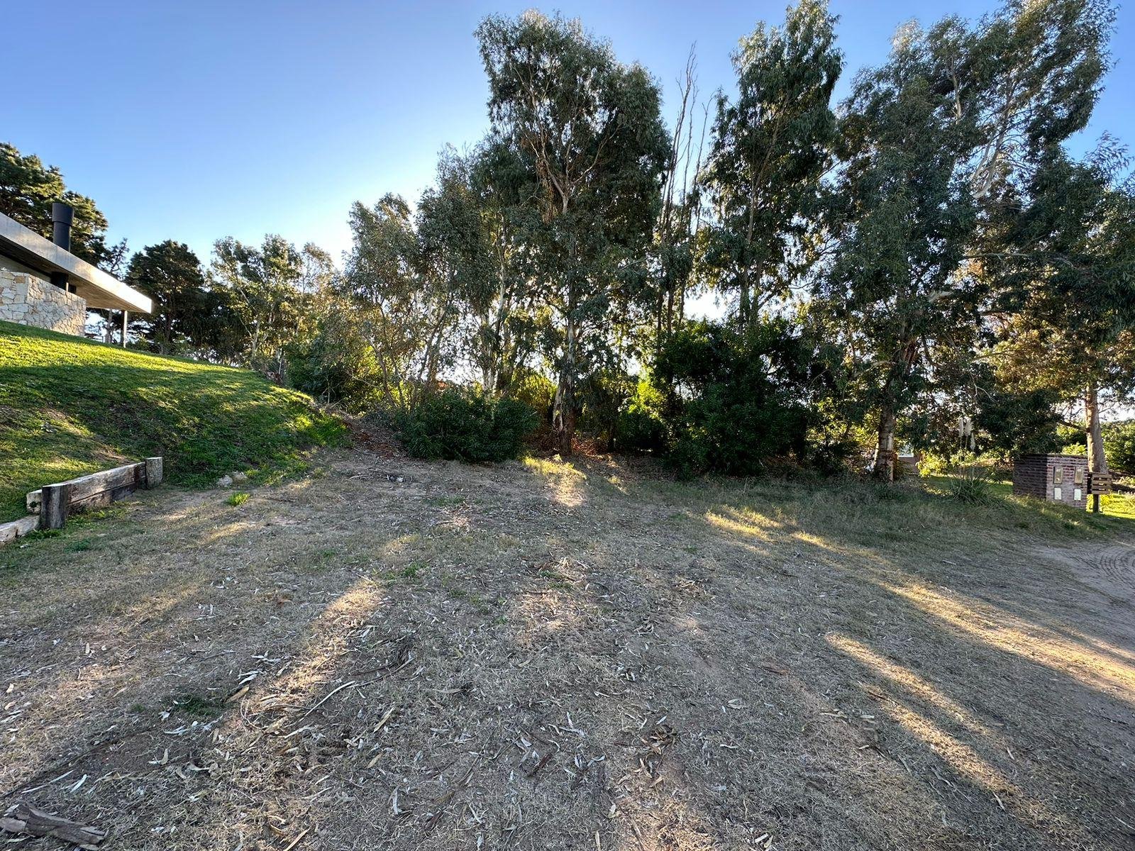 38debed10c09f8407fa57470ab23b4a0