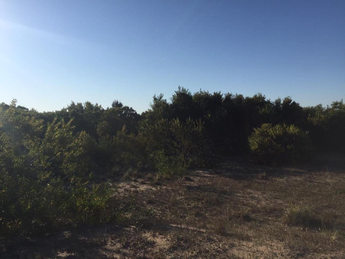 3908d7946feeb09c3834a8a01a995acf