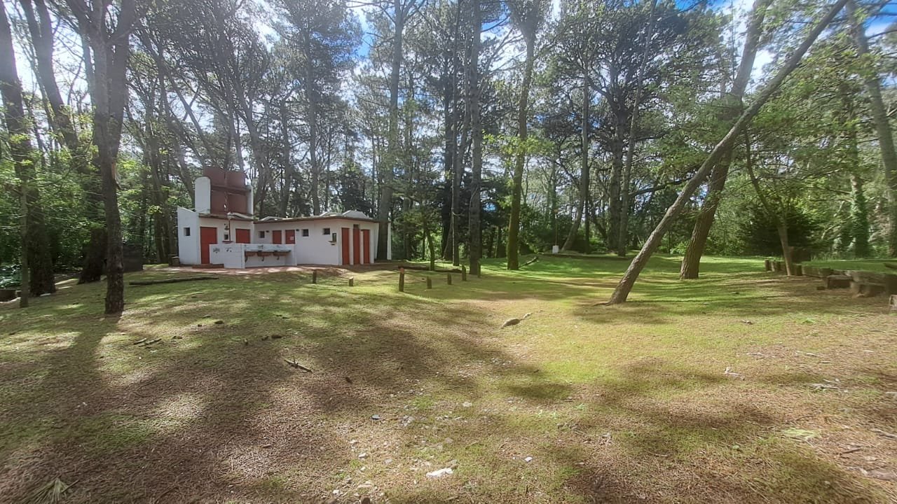 3923c3cc2ad7738764b6cd1bf4e1d927