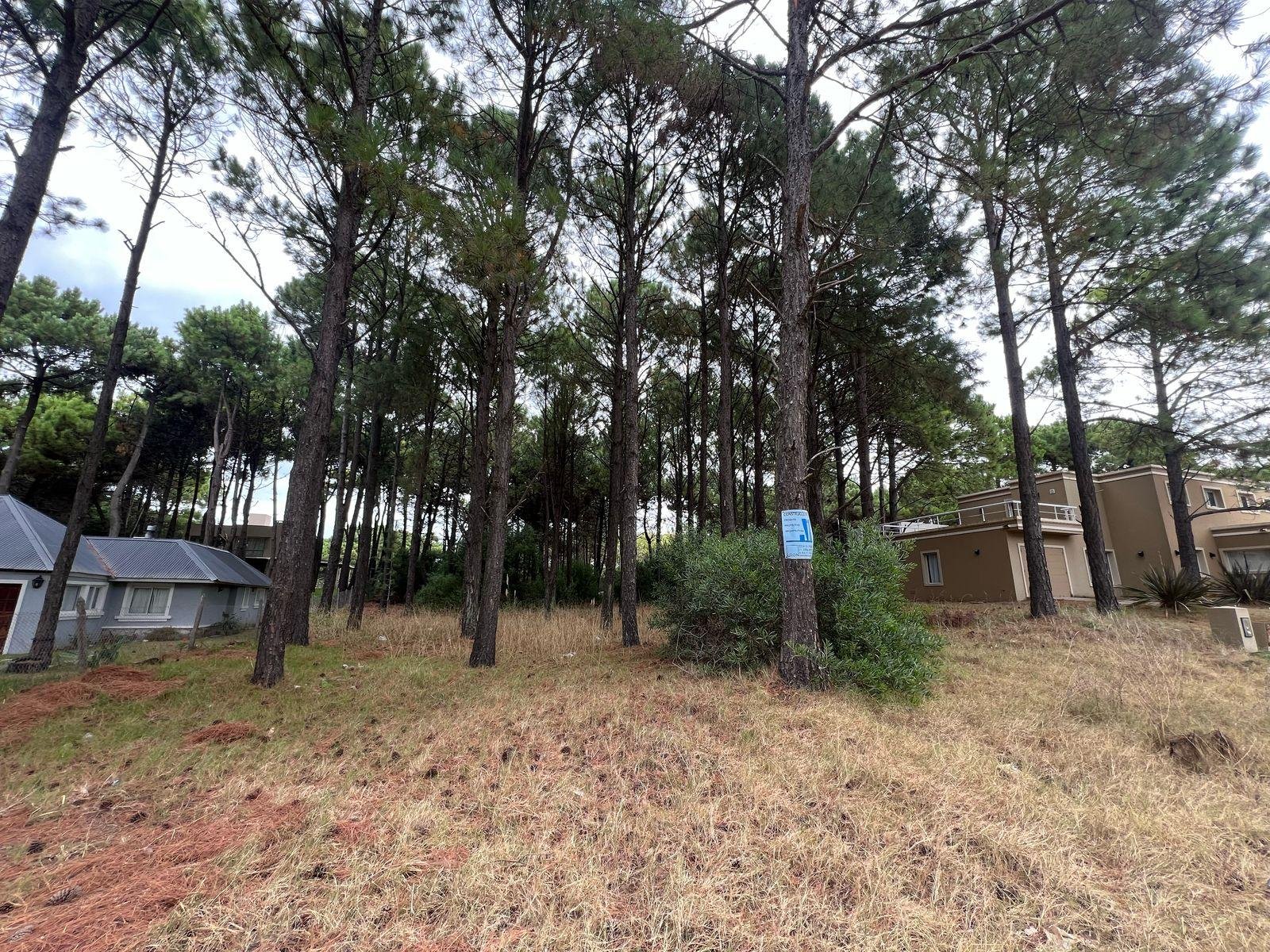 3a19e1eba90ae6edeb5e0c363445f37c