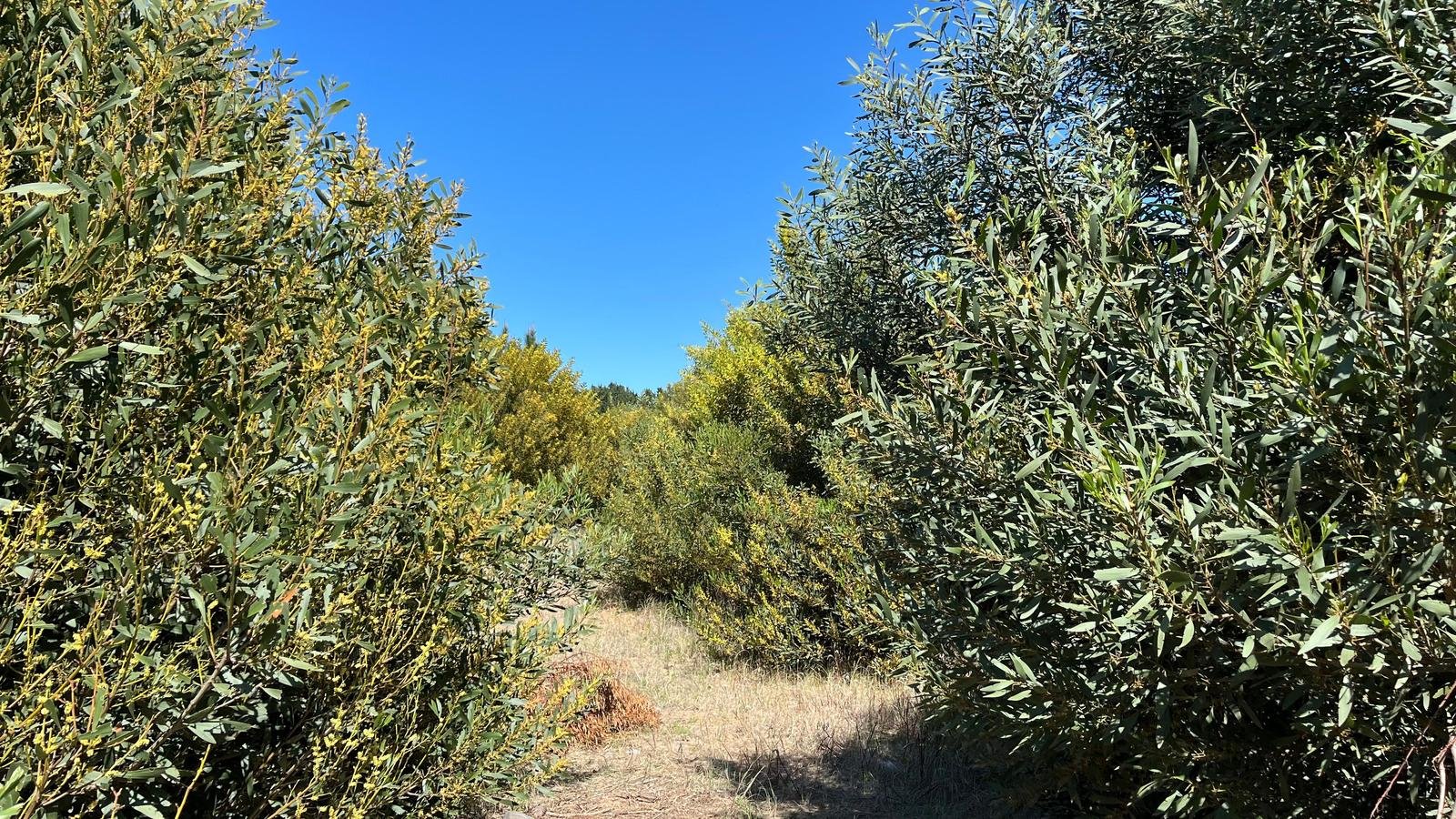 3b89c925ec620a36bef3b3a9c588da89