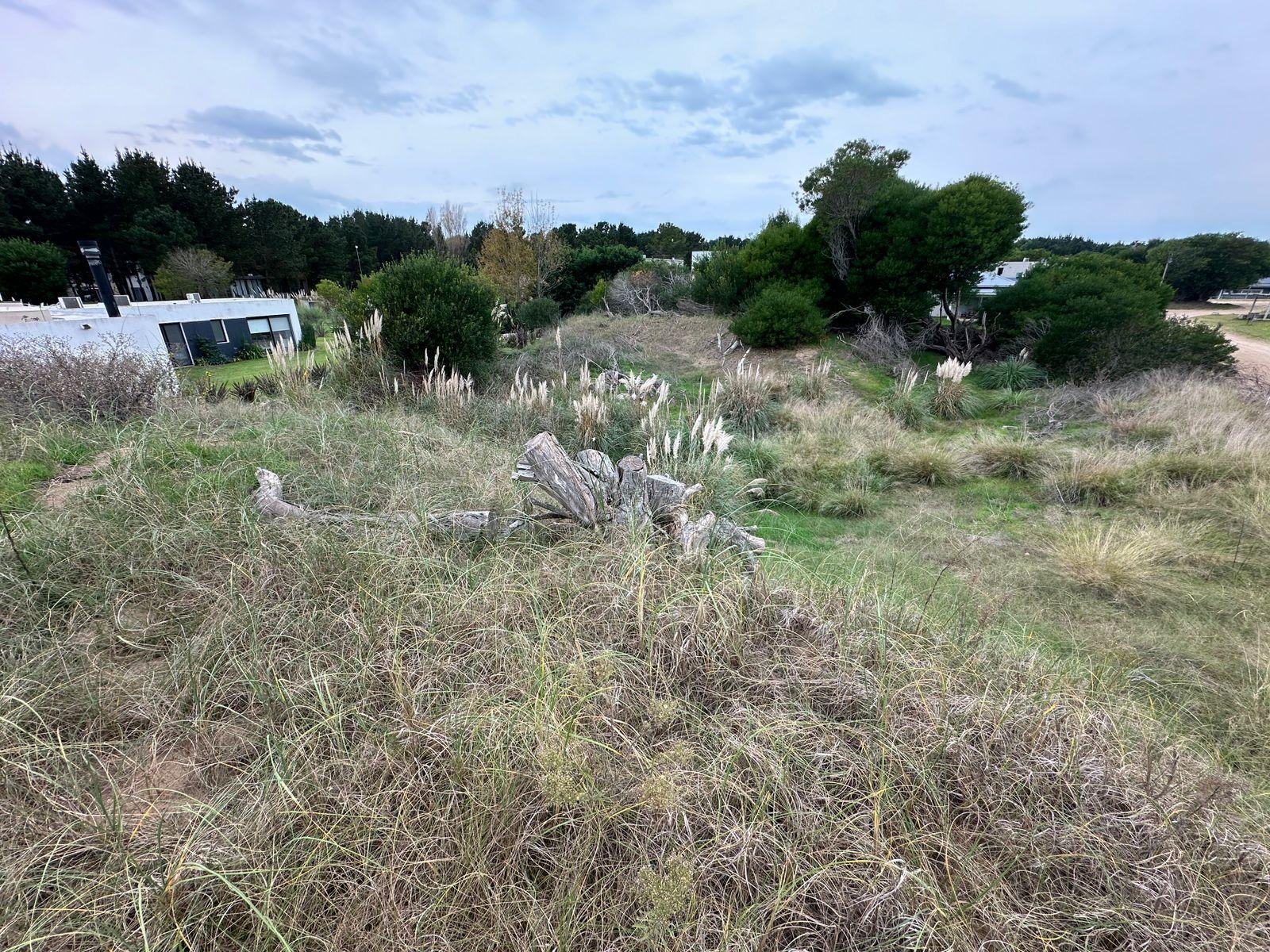 3c7660b926fa2422dcc1525a644487ef