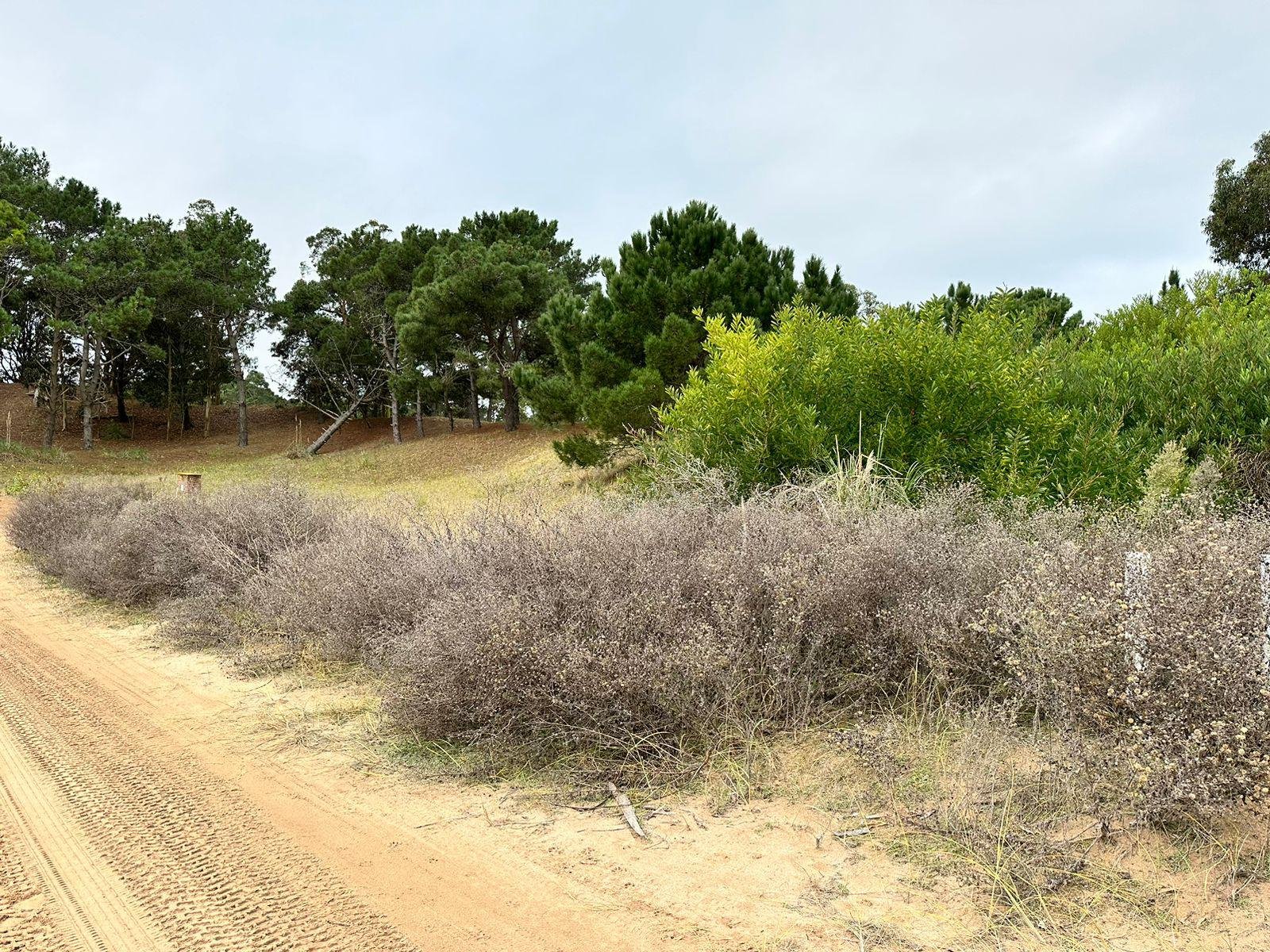 3e4afecc91077781f5d4253990834d80