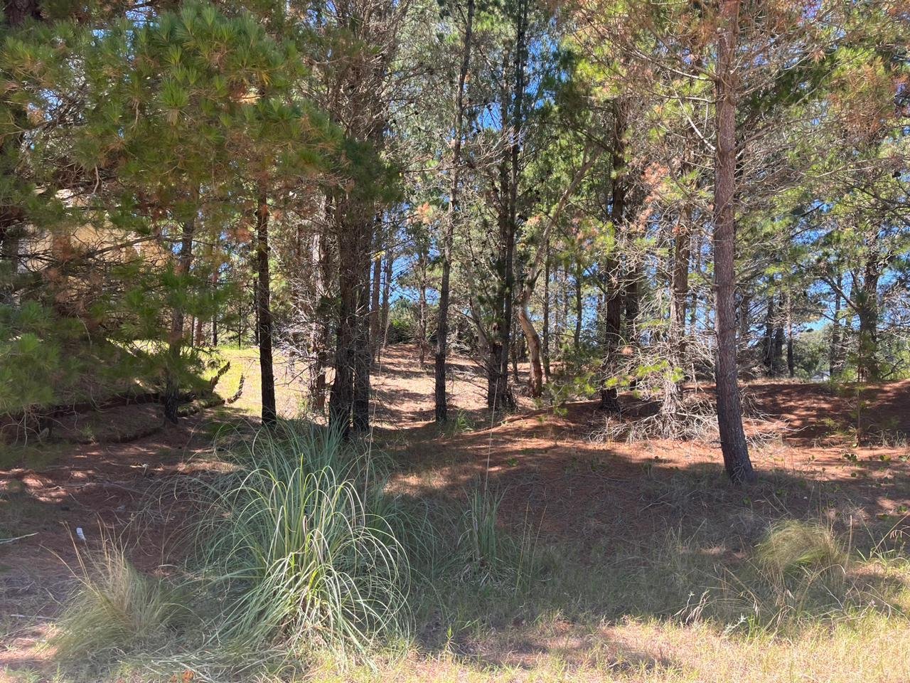 3ec998b26165942ac1e7383791510bee