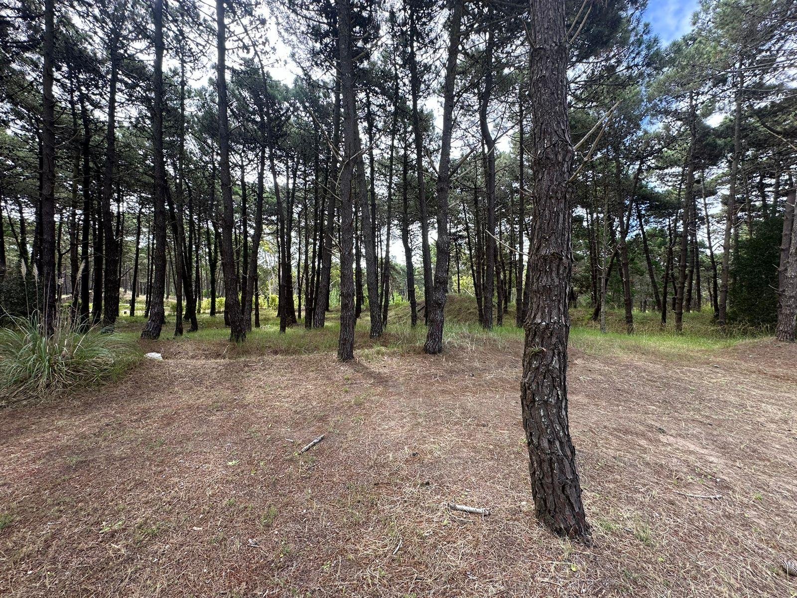 3eef37a4a2afc6c5568d20983aea81ba